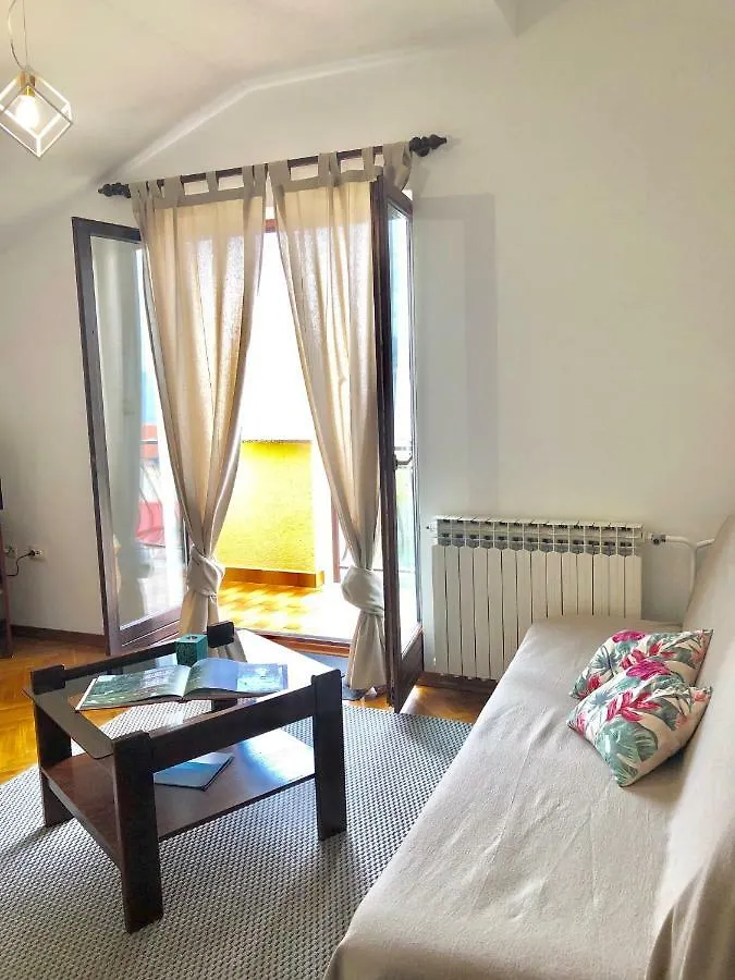 Apartments Petricic With Swimming Pool Icici 0*,